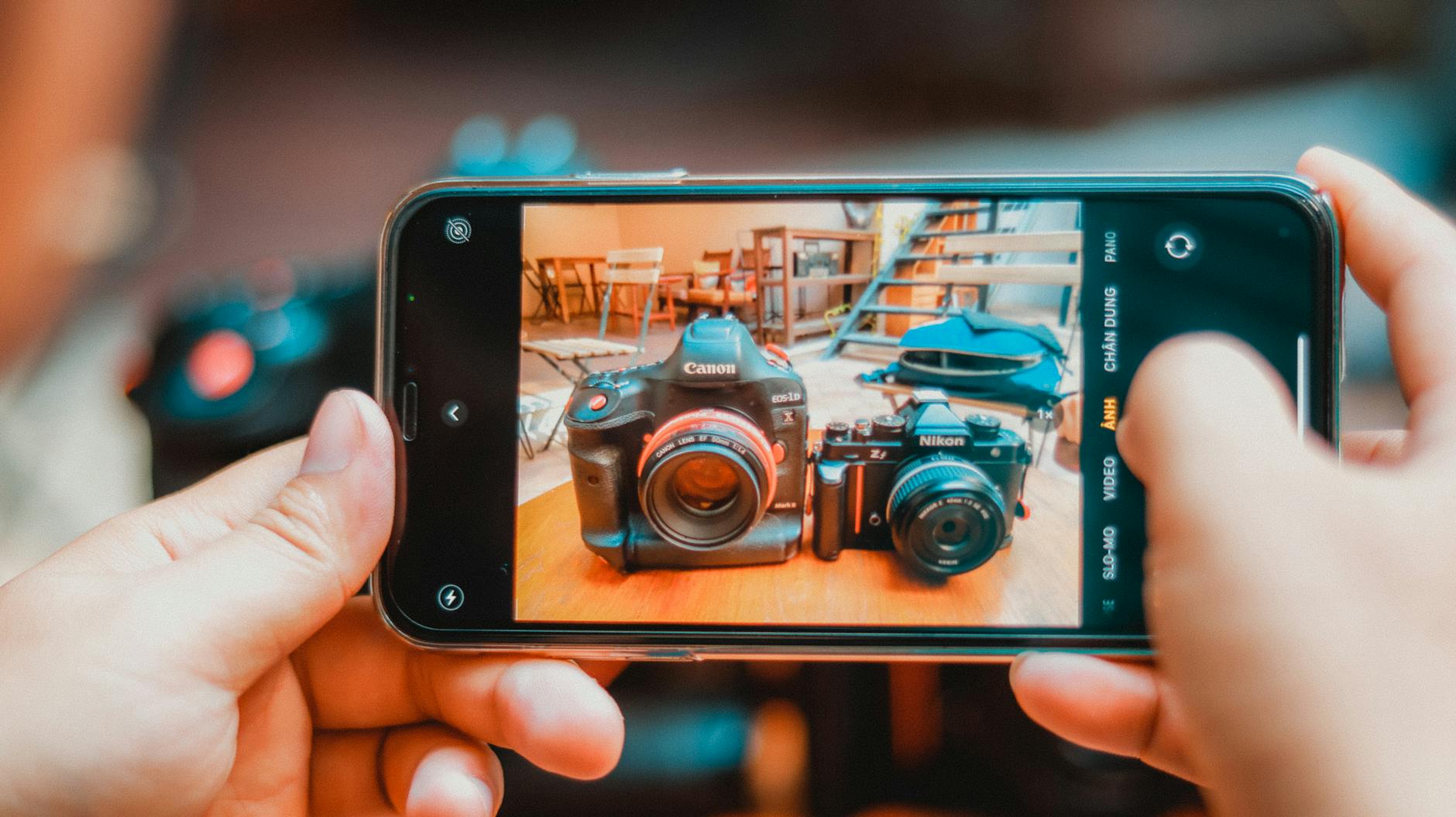 写真比較による検証